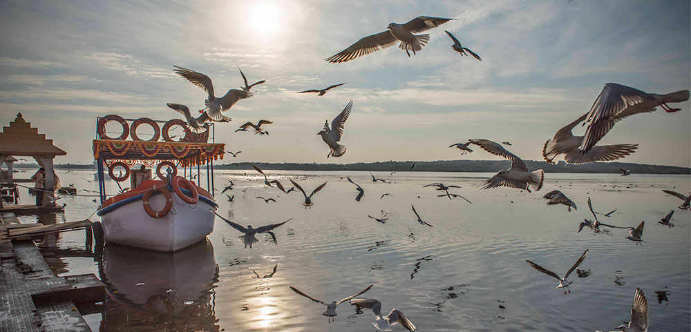 Reach Triveni Sangam